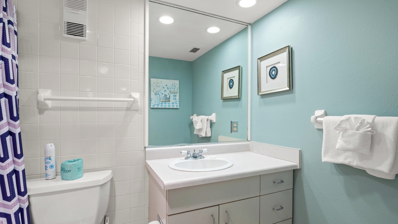 Photo of Bathroom in St. Pete Beach