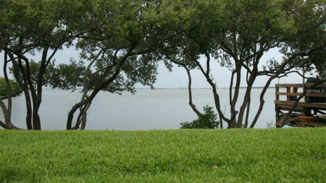 Photo of Others in Tierra Verde