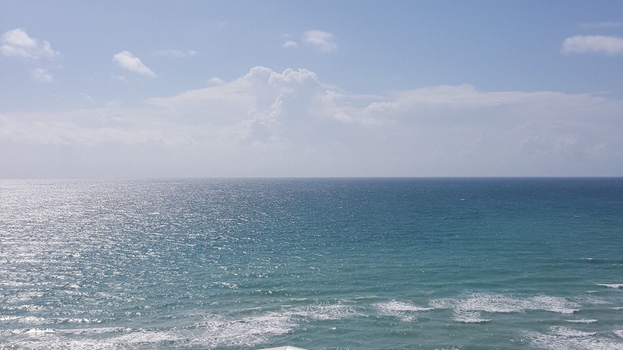 Photo of Outdoor in Hollywood South Central Beach