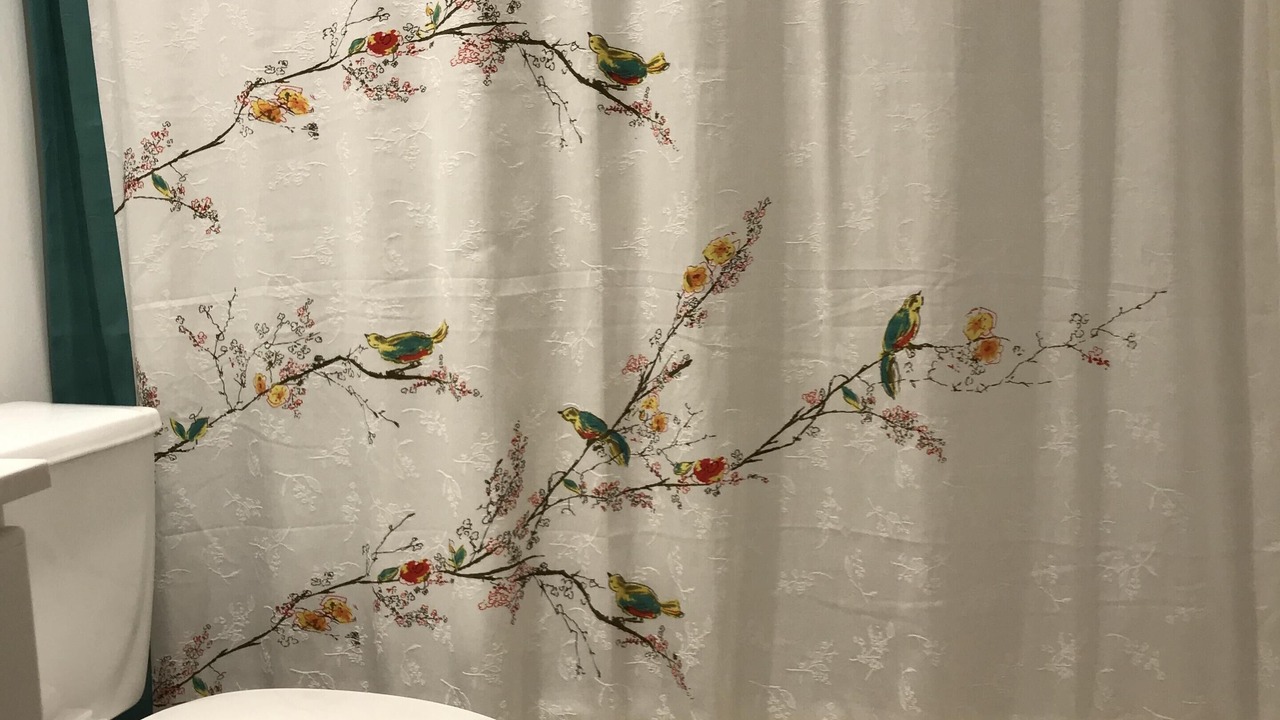 Photo of Bathroom in Hollywood South Central Beach