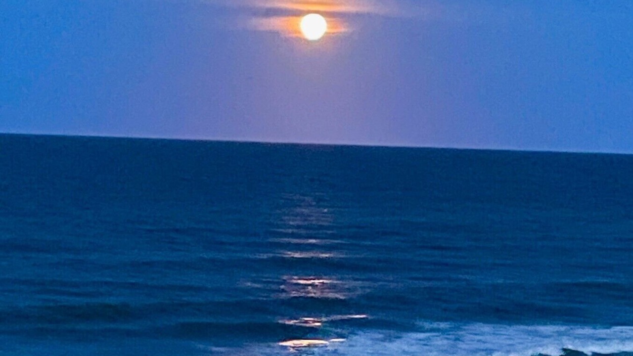 Photo of Others in New Smyrna Beach