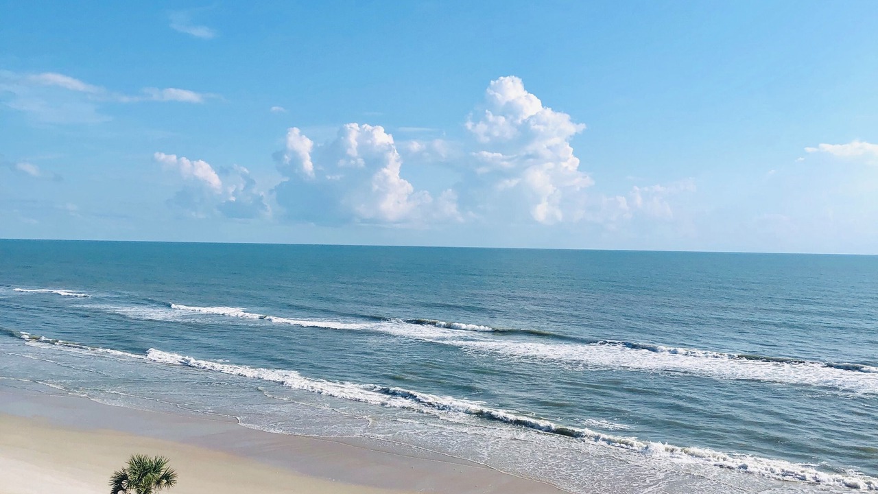 Photo of Others in New Smyrna Beach