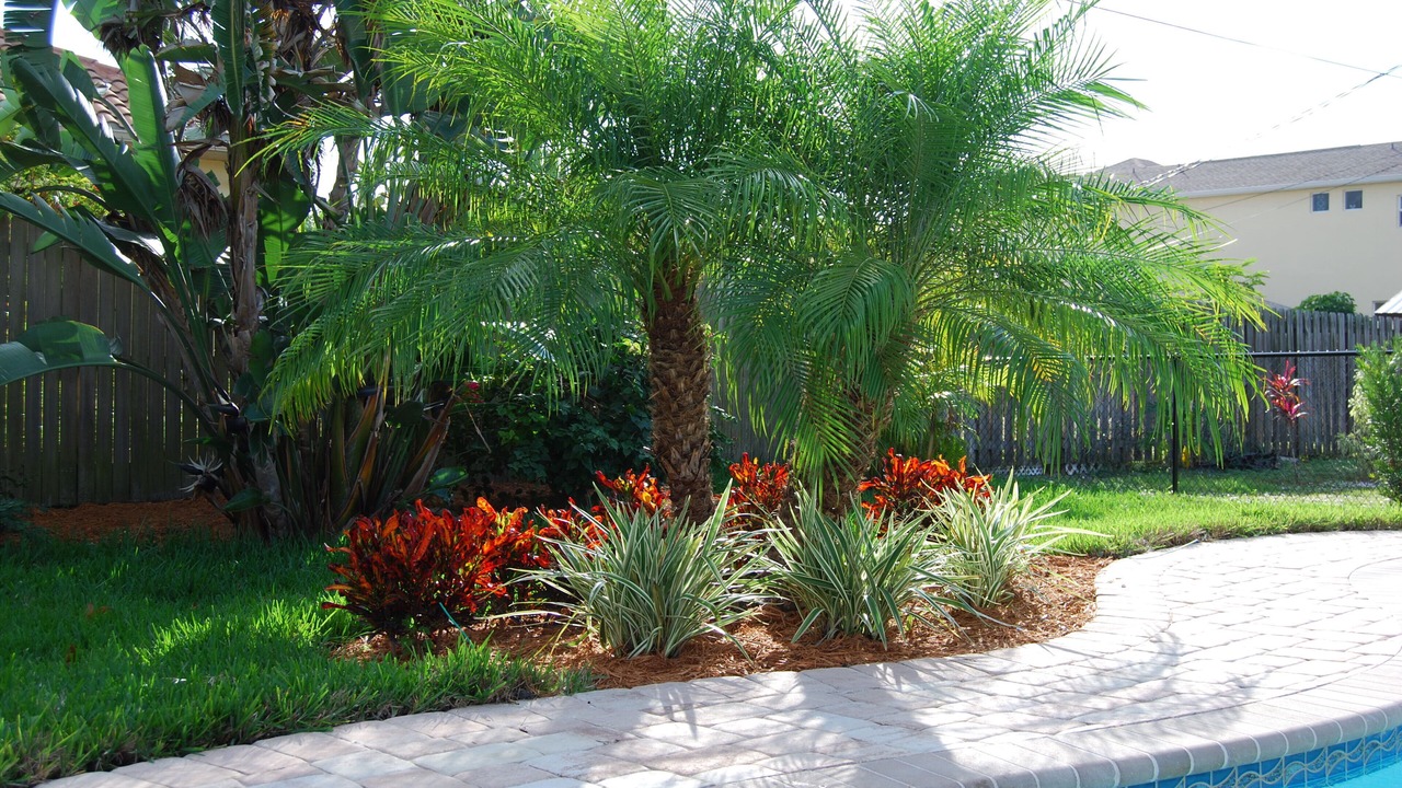 Photo of Outdoor in Naples Park