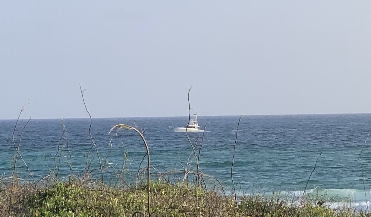 Photo of Others in Laguna Beach