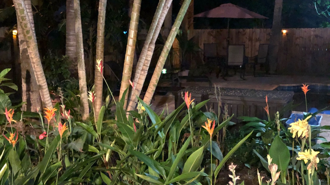 Photo of Outdoor in Delray Beach