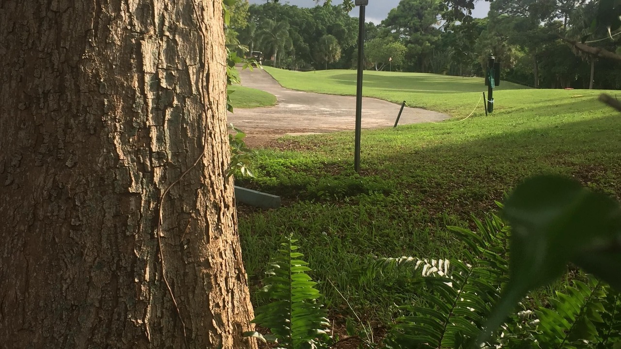 Photo of Others in Delray Beach