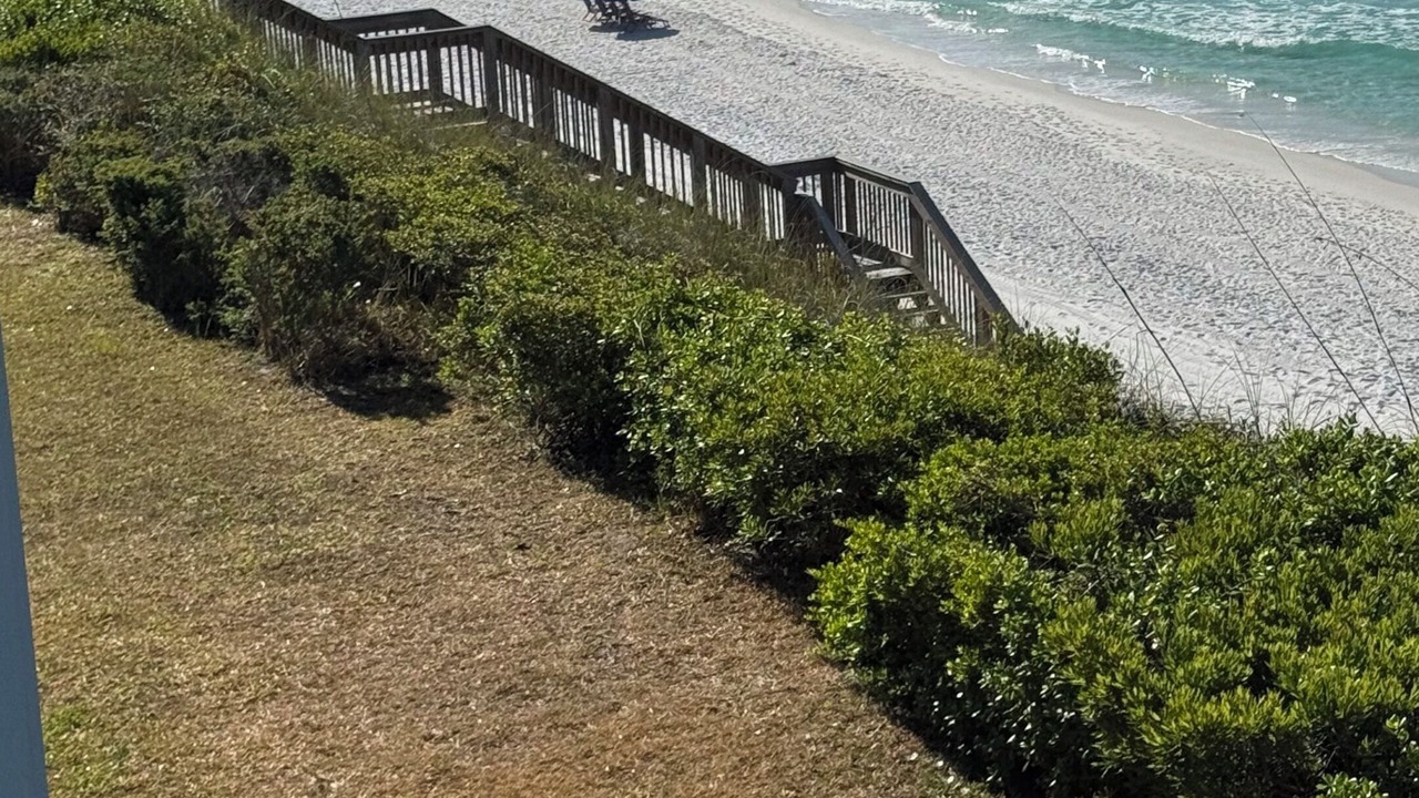 Photo of Others in Santa Rosa Beach