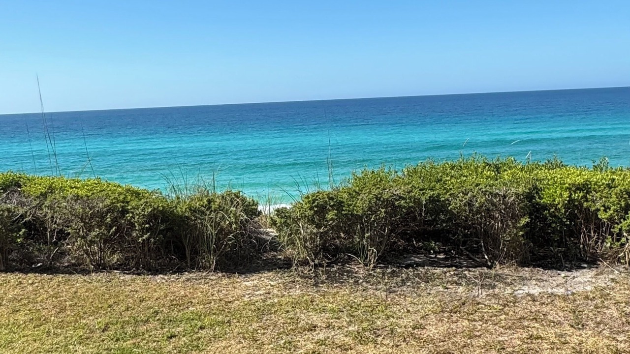 Photo of Others in Santa Rosa Beach