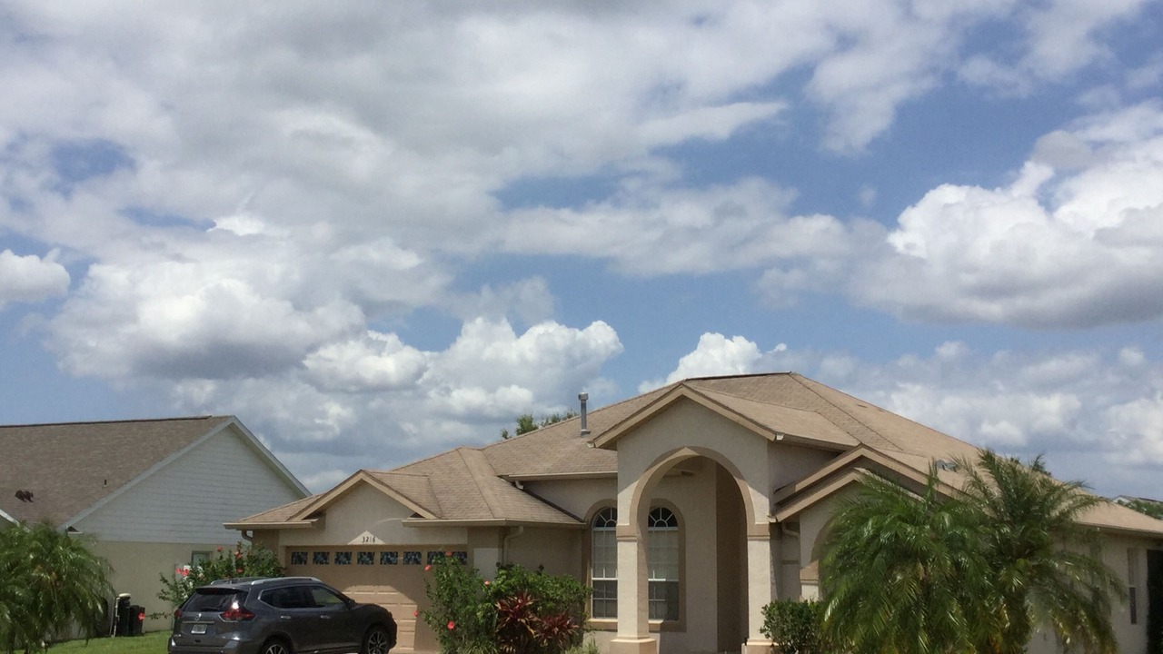 Photo of Outdoor in Orange Tree
