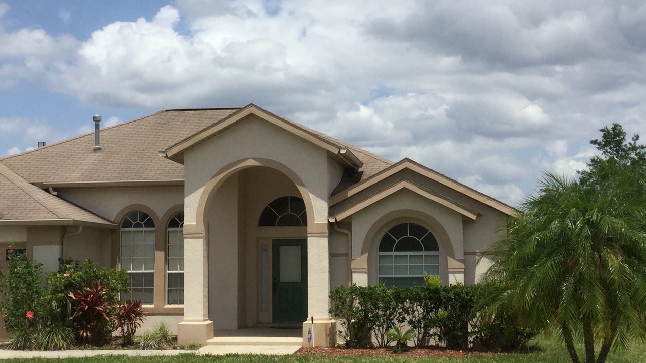 Photo of Outdoor in Orange Tree