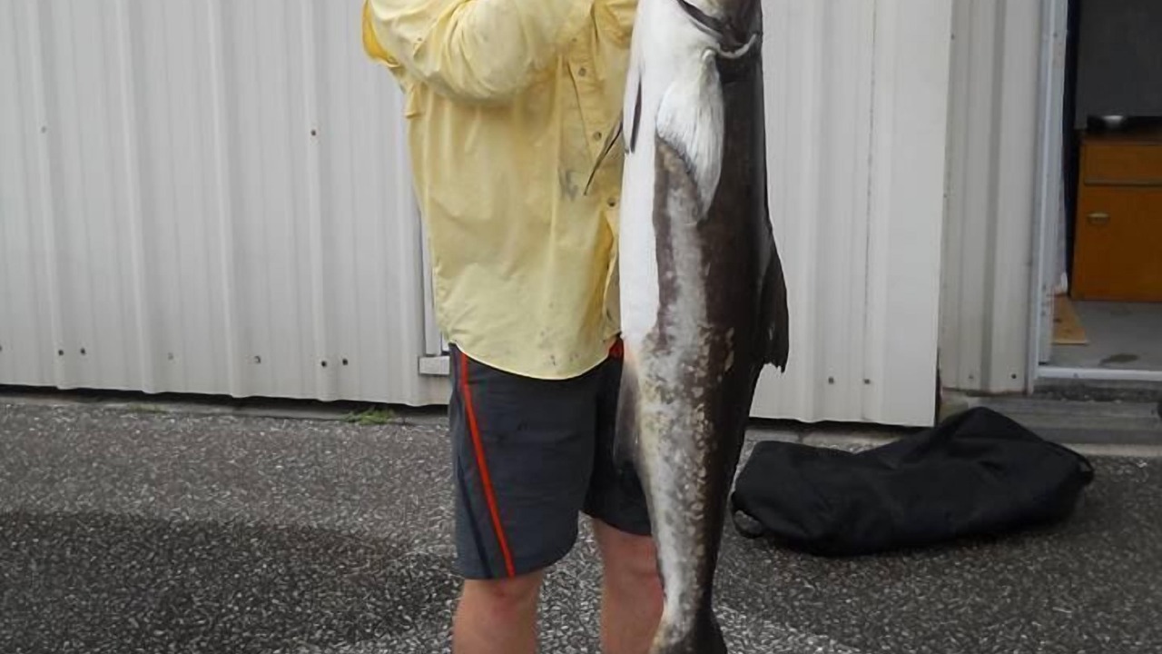 Photo of Others in Mexico Beach