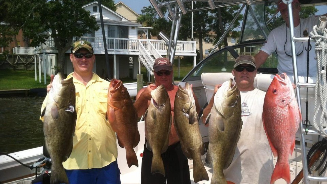 Photo of Others in Mexico Beach