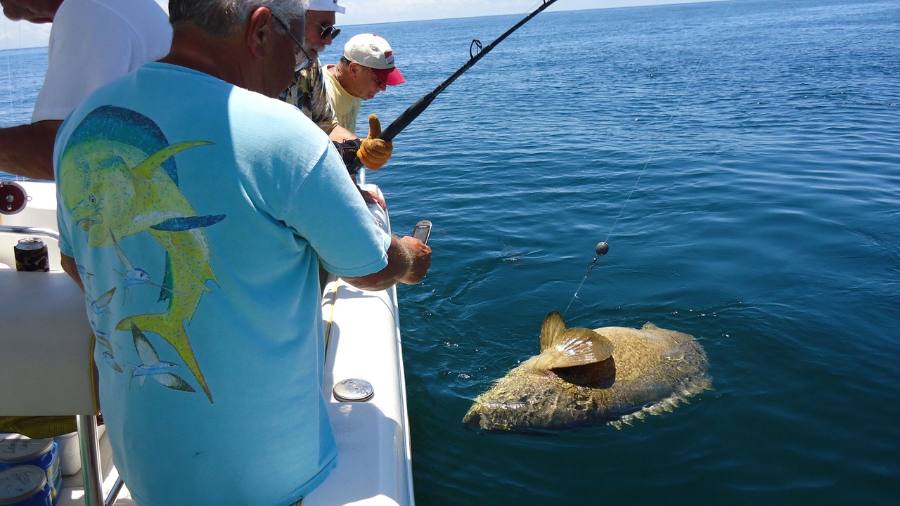 Photo of Others in Mexico Beach