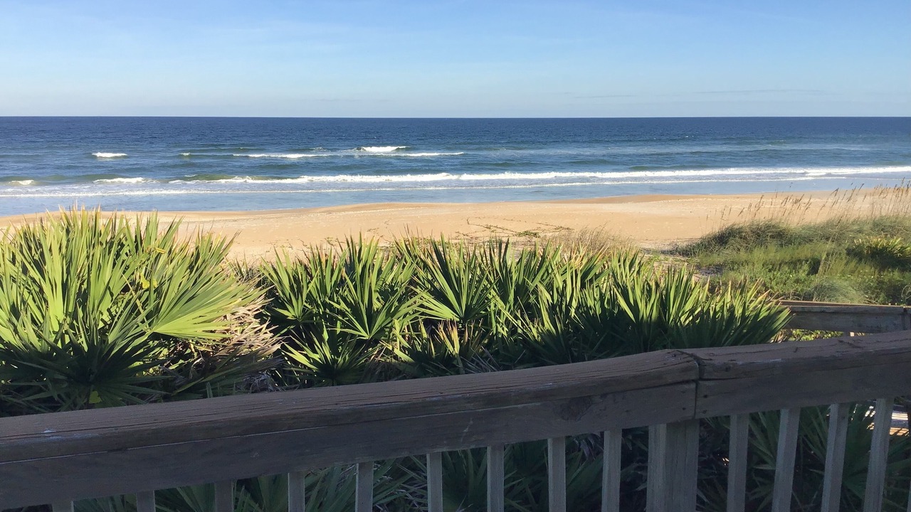 Photo of Others in South Ponte Vedra Beach