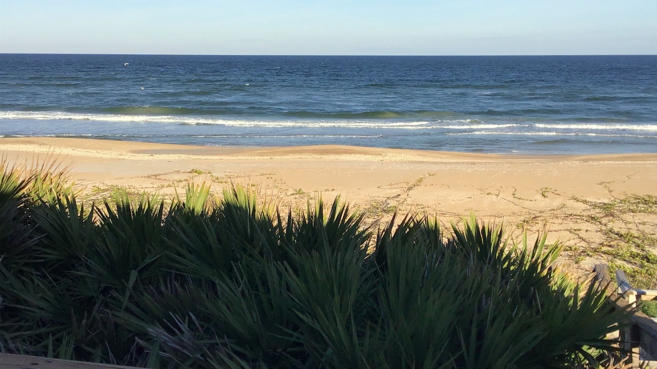 Photo of Others in South Ponte Vedra Beach