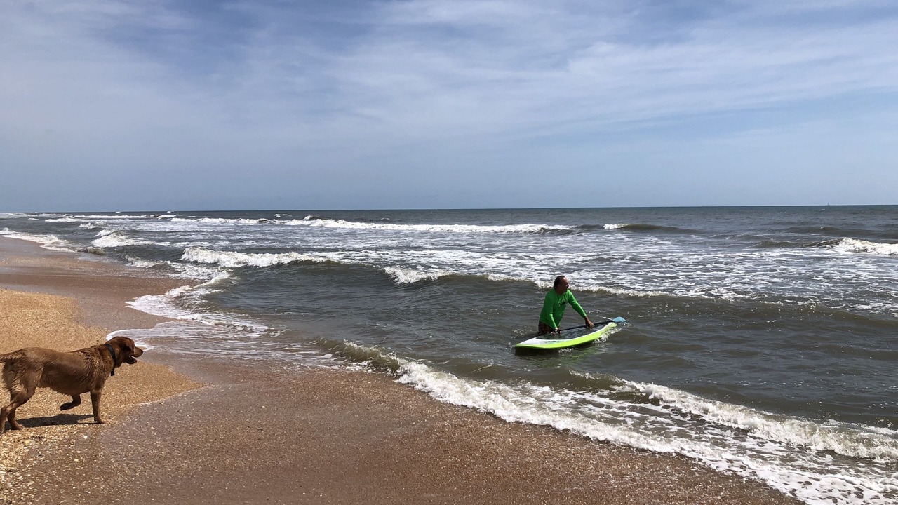 Photo of Others in South Ponte Vedra Beach