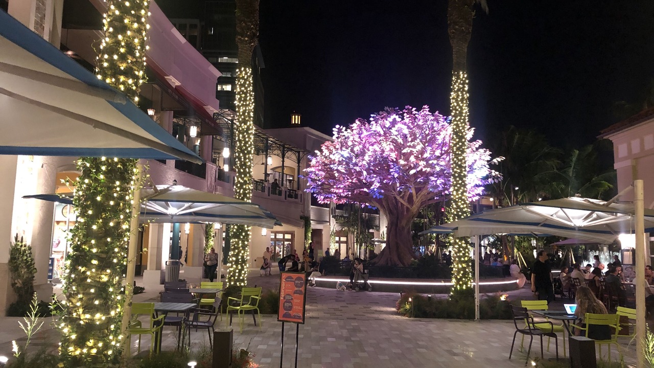 Photo of Others in West Palm Beach