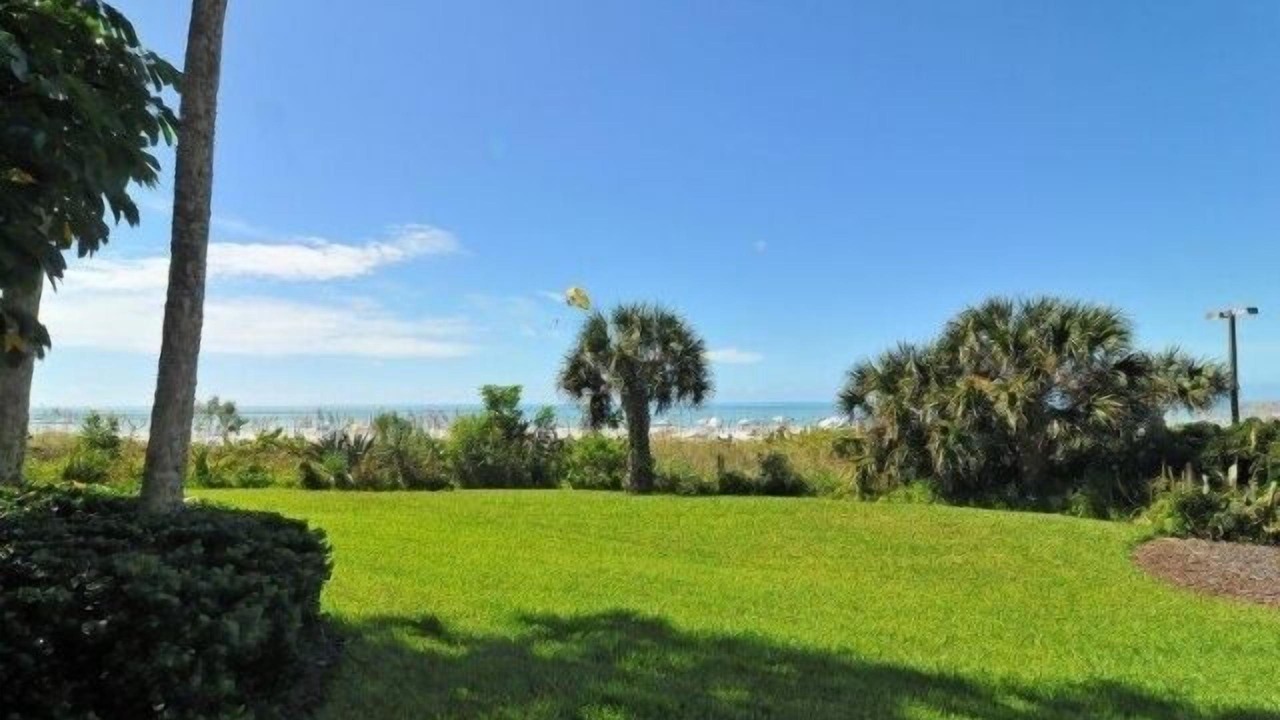 Photo of Others in Siesta Key