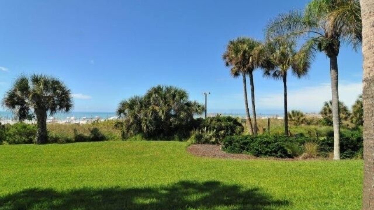 Photo of Others in Siesta Key