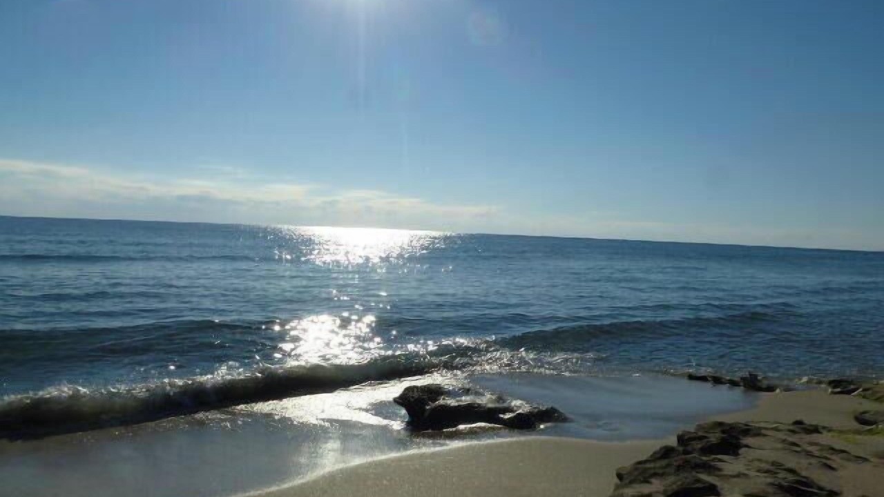 Photo of Others in Highland Beach