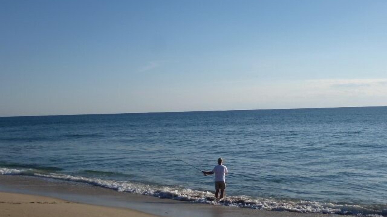 Photo of Others in Highland Beach