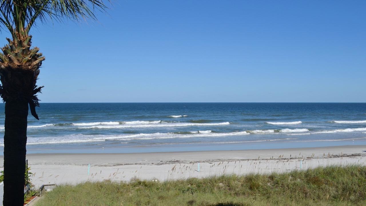 Photo of Others in Daytona Beach Shores