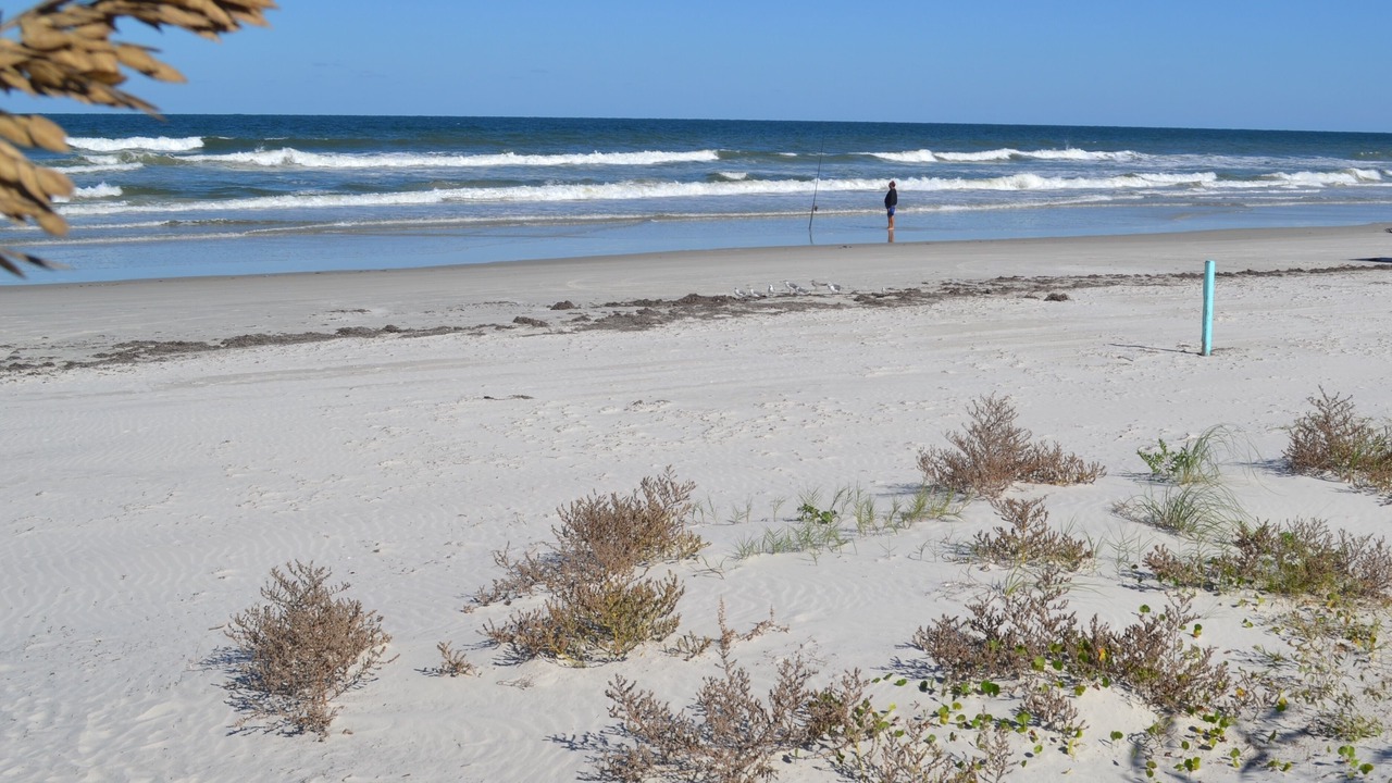 Photo of Others in Daytona Beach Shores