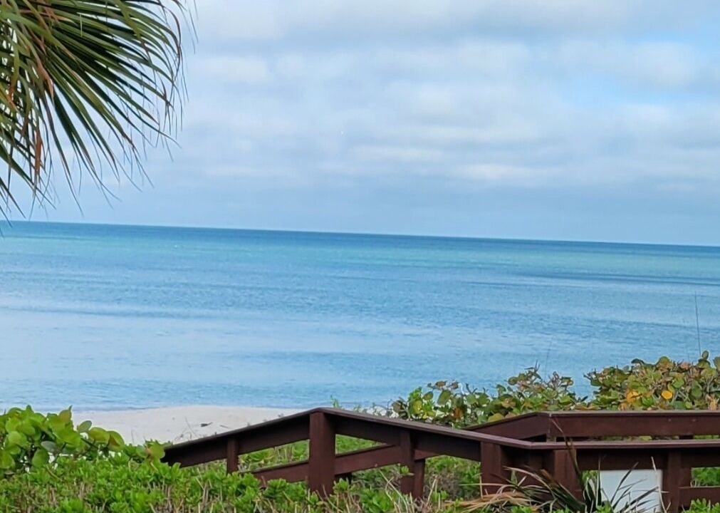 Photo of Outdoor in Old Naples