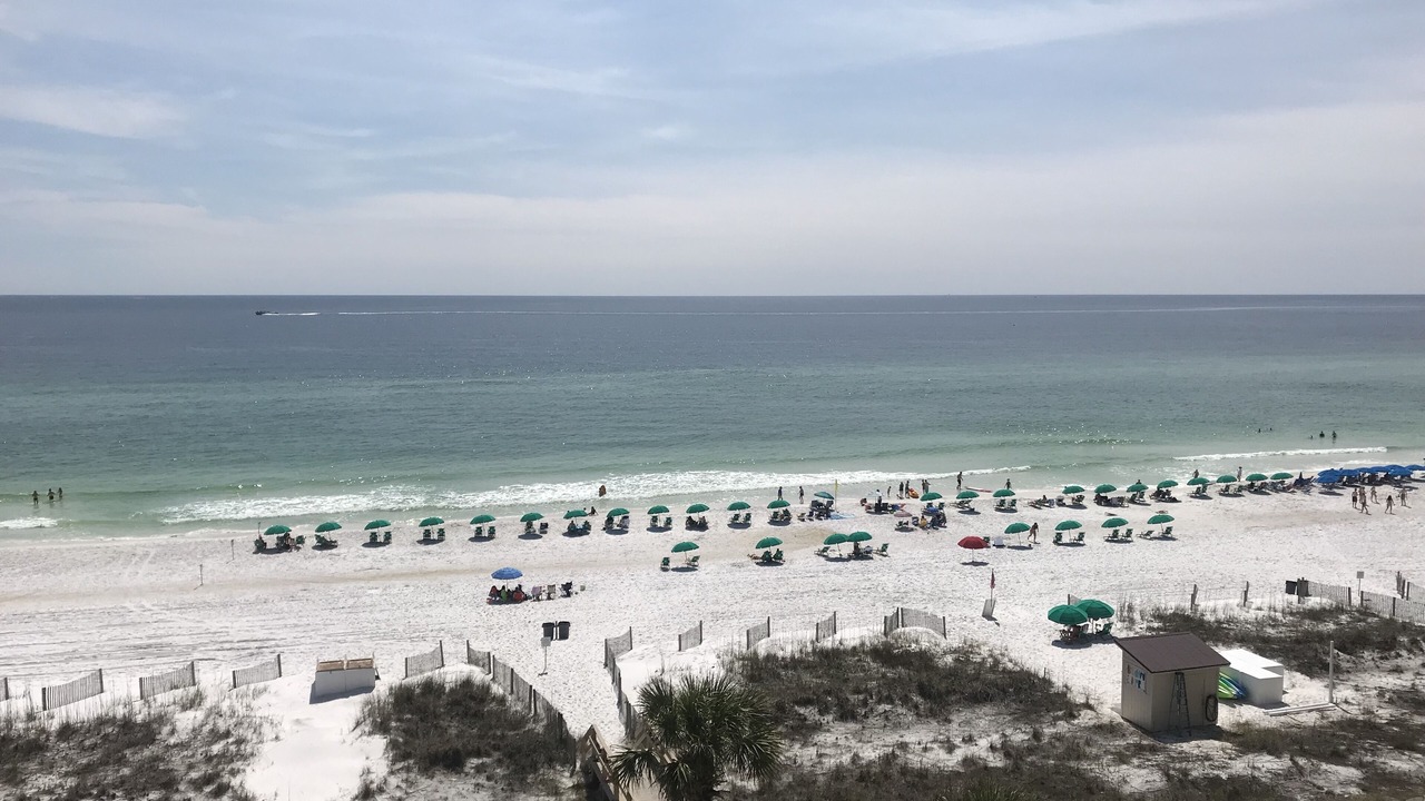 Photo of Others in Destin