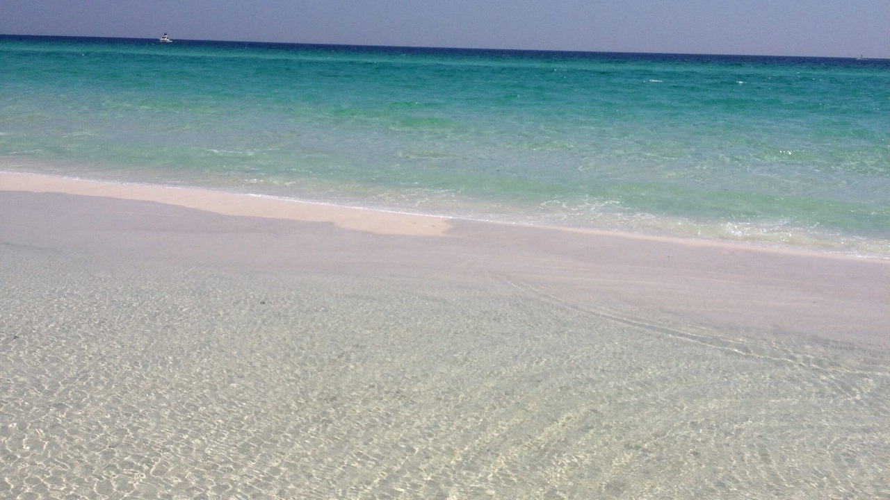Photo of Others in Miramar Beach