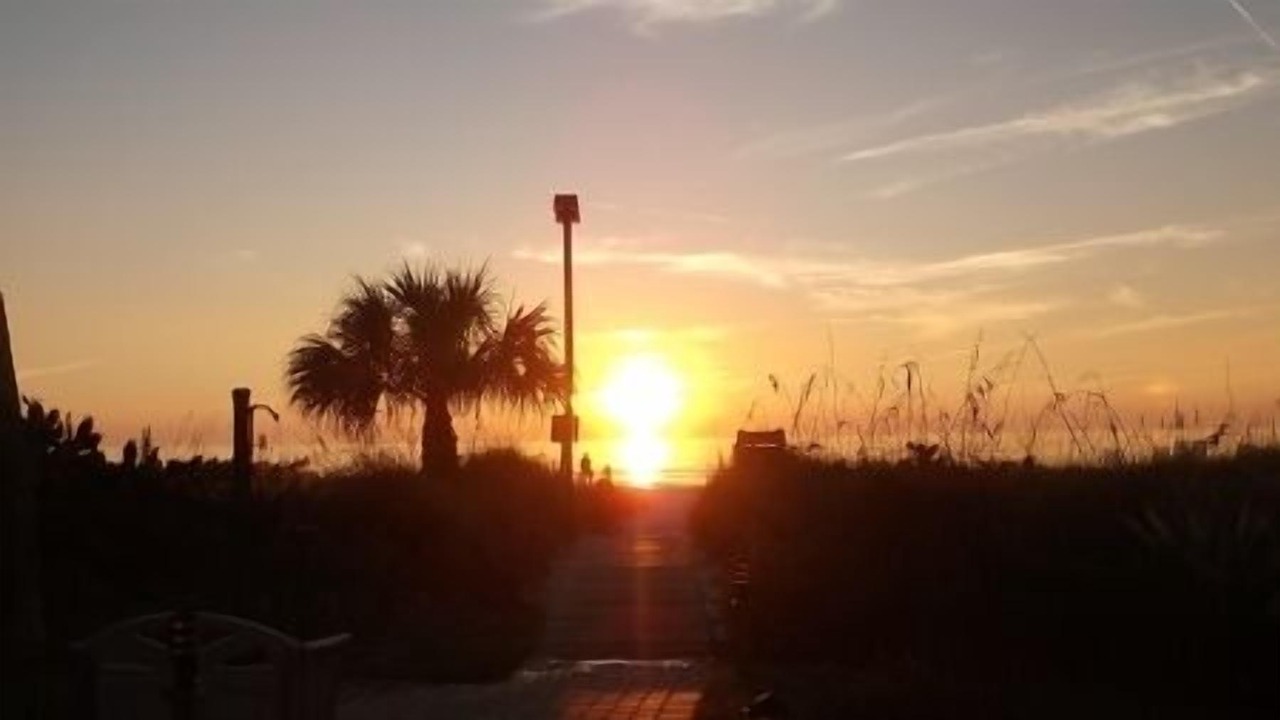 Photo of Others in Siesta Key