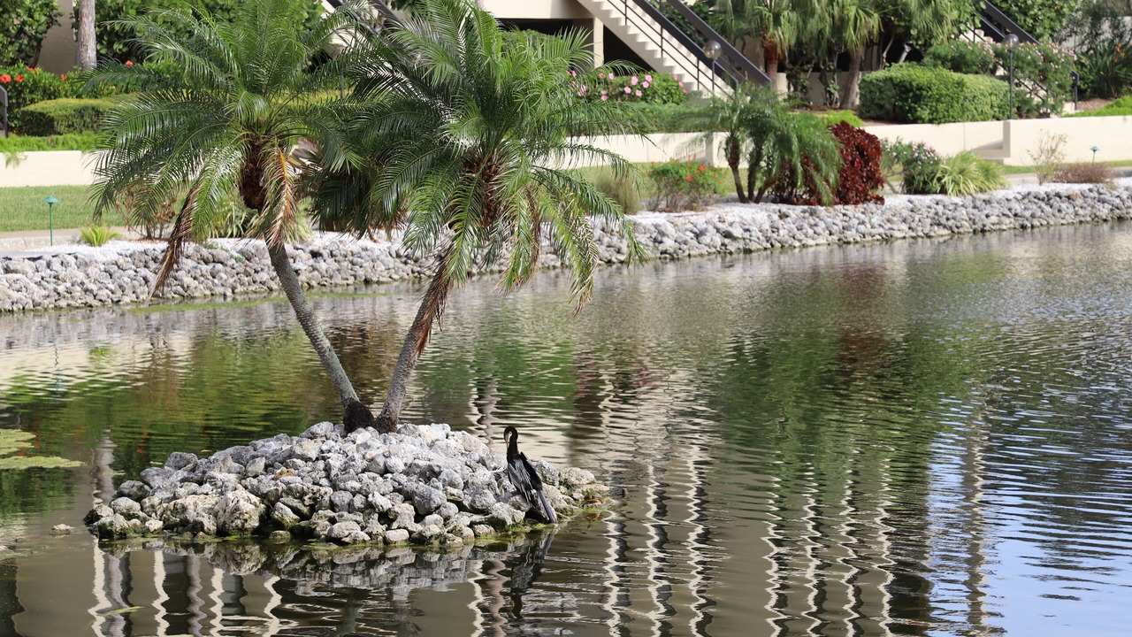 Photo of Others in Longboat Key