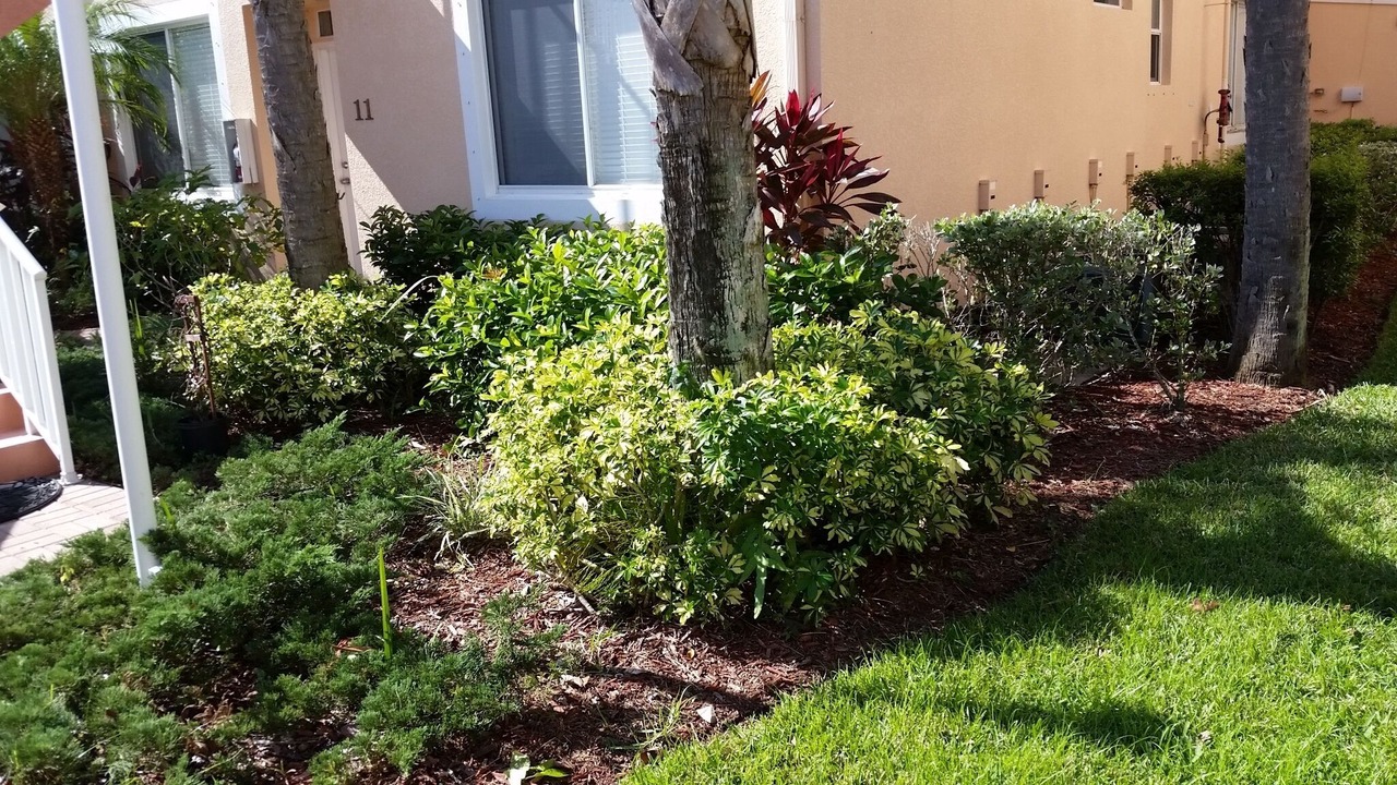 Photo of Outdoor in Naples