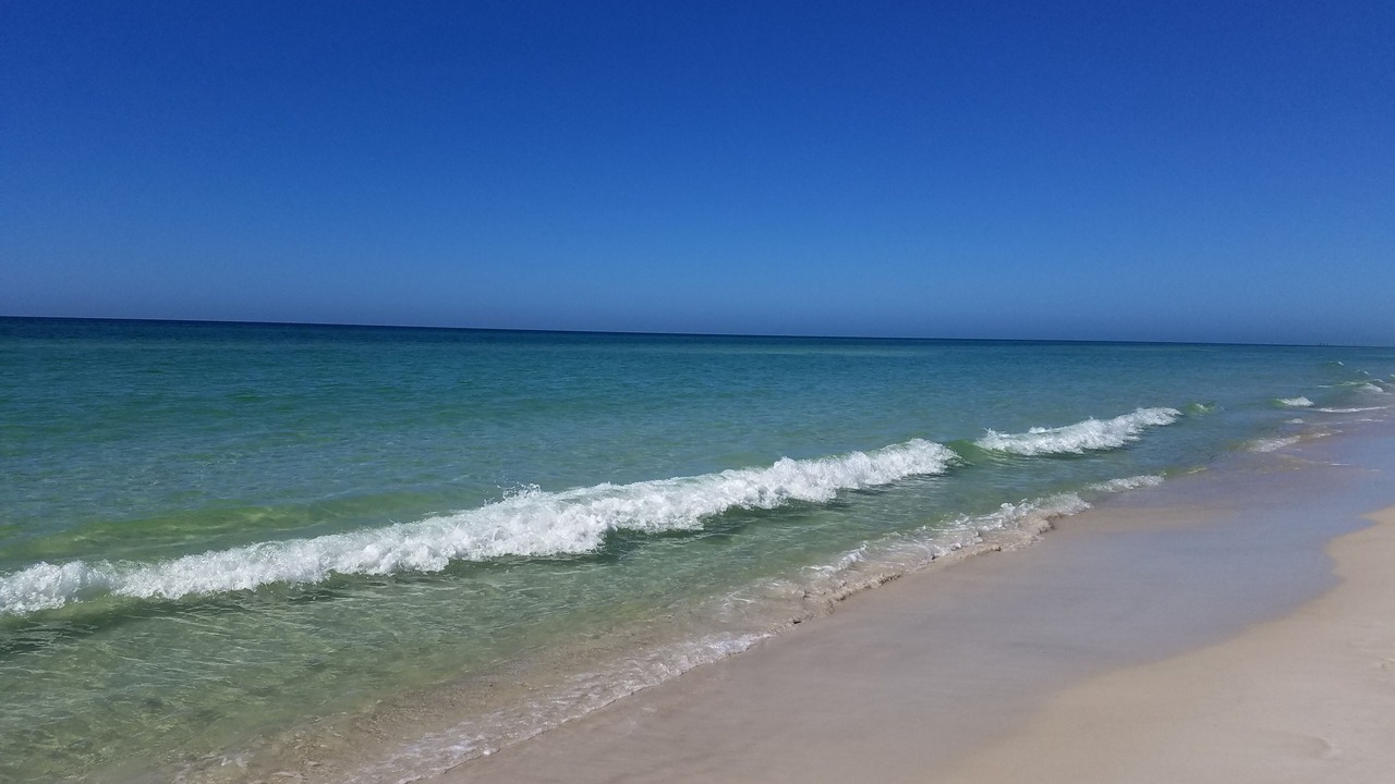 Photo of Others in Panama City Beach