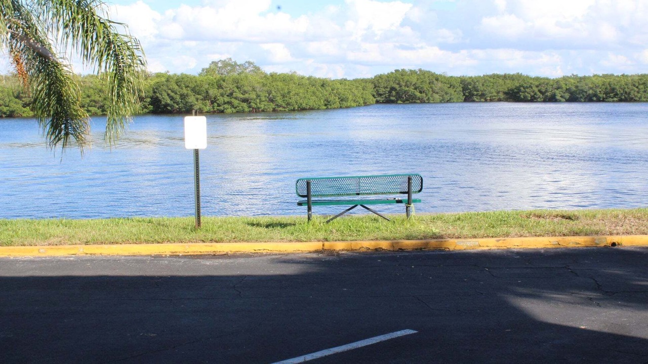 Photo of Outdoor in Ruskin