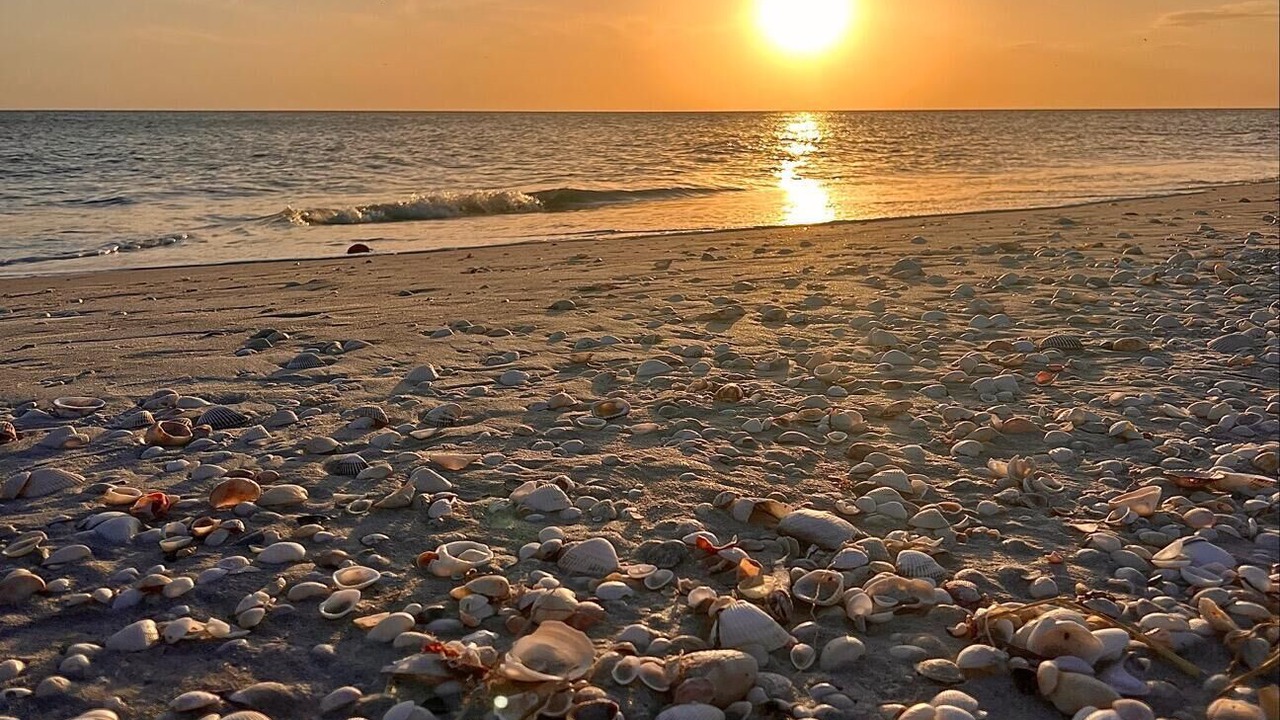 Photo of Others in Sanibel