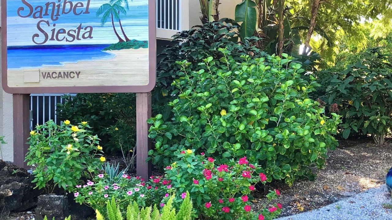 Photo of Others in Sanibel