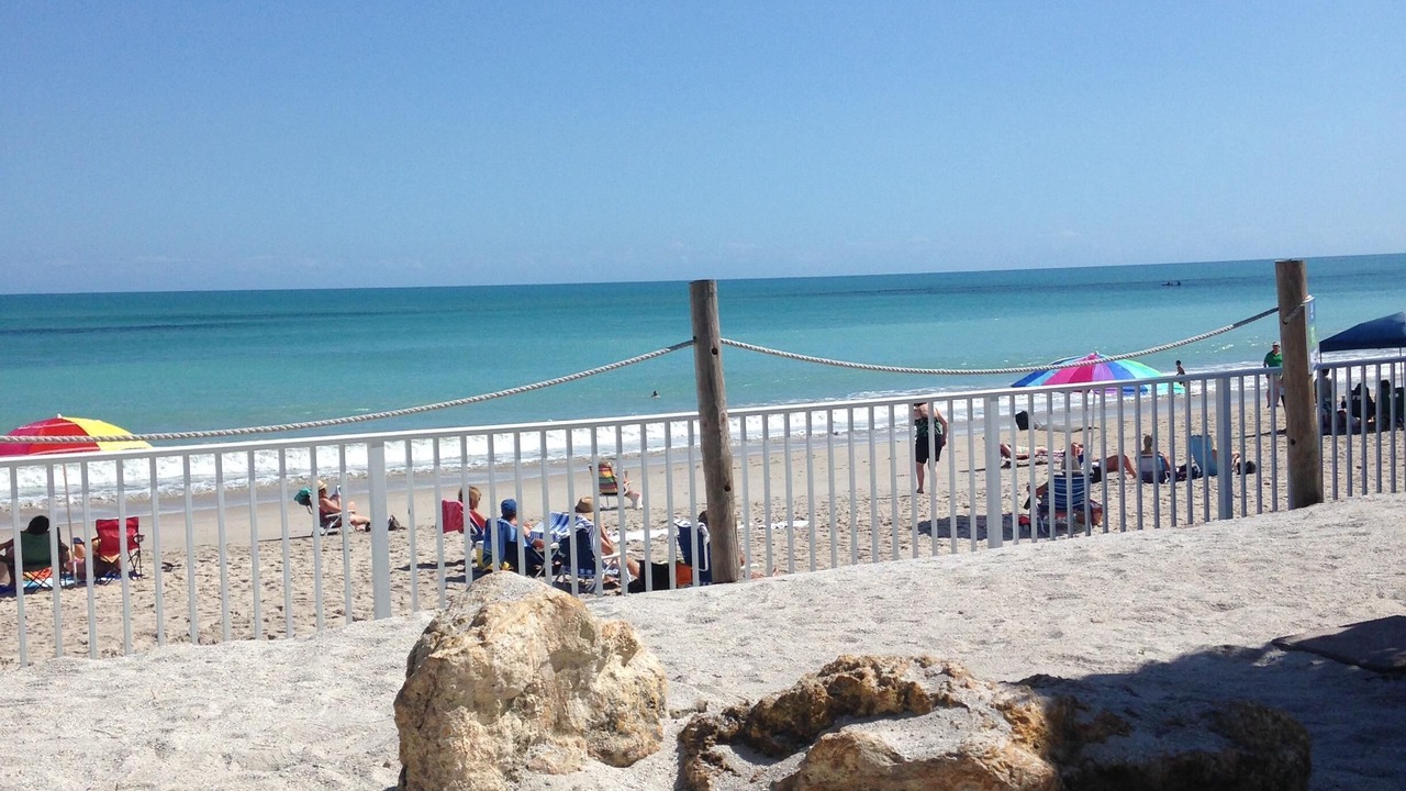 Photo of Others in Port Saint Lucie