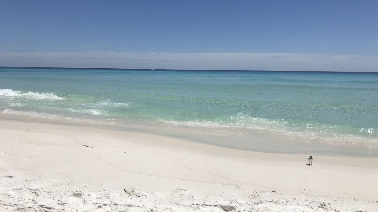 Photo of Others in Holiday Isle
