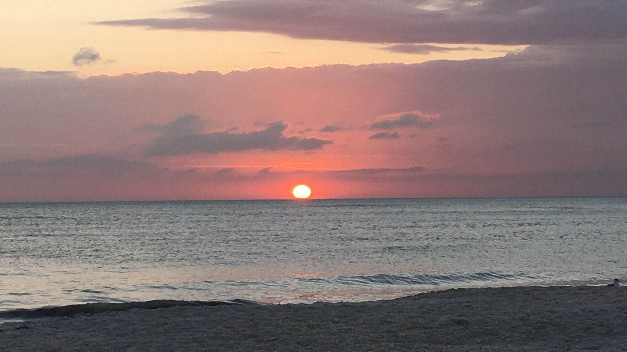 Photo of Others in Siesta Key