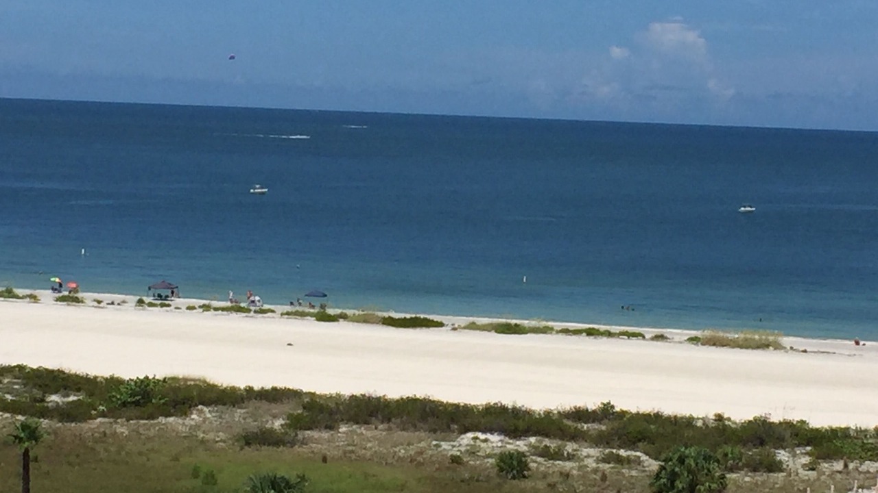 Photo of Others in Sand Key