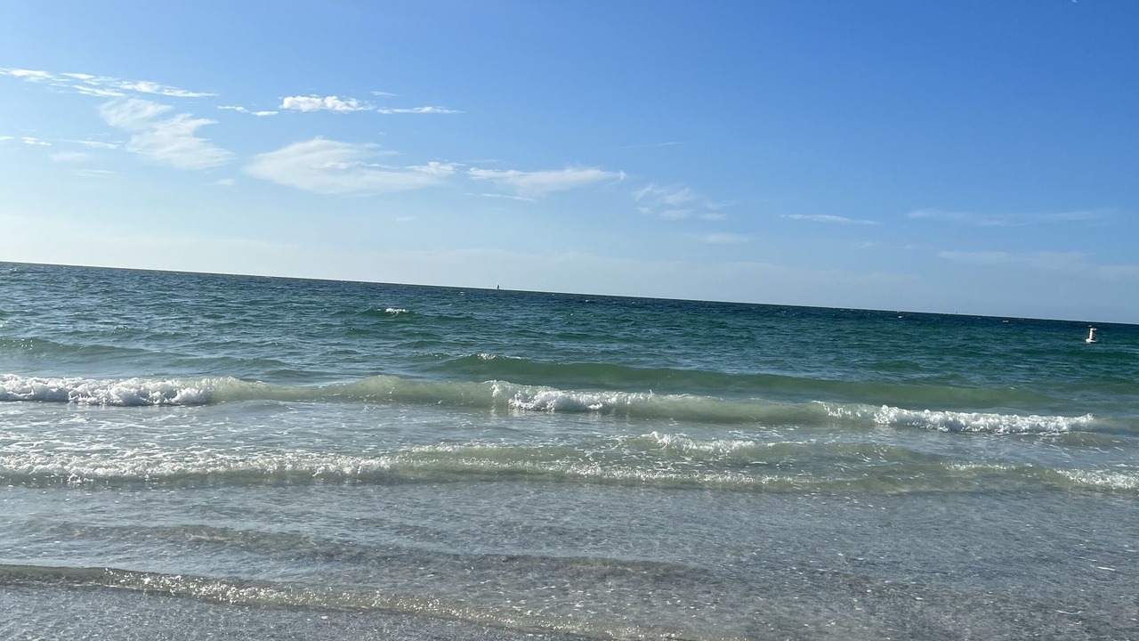 Photo of Others in Sand Key