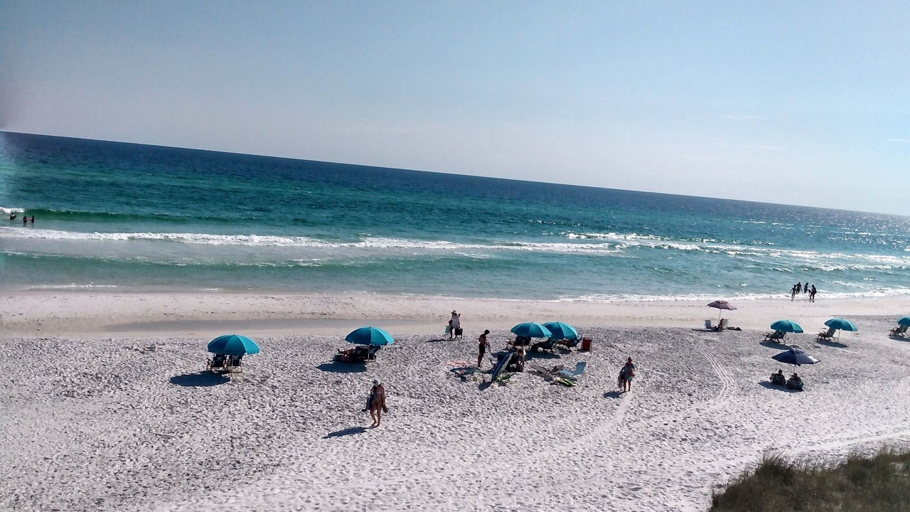 Photo of Others in Seagrove Beach