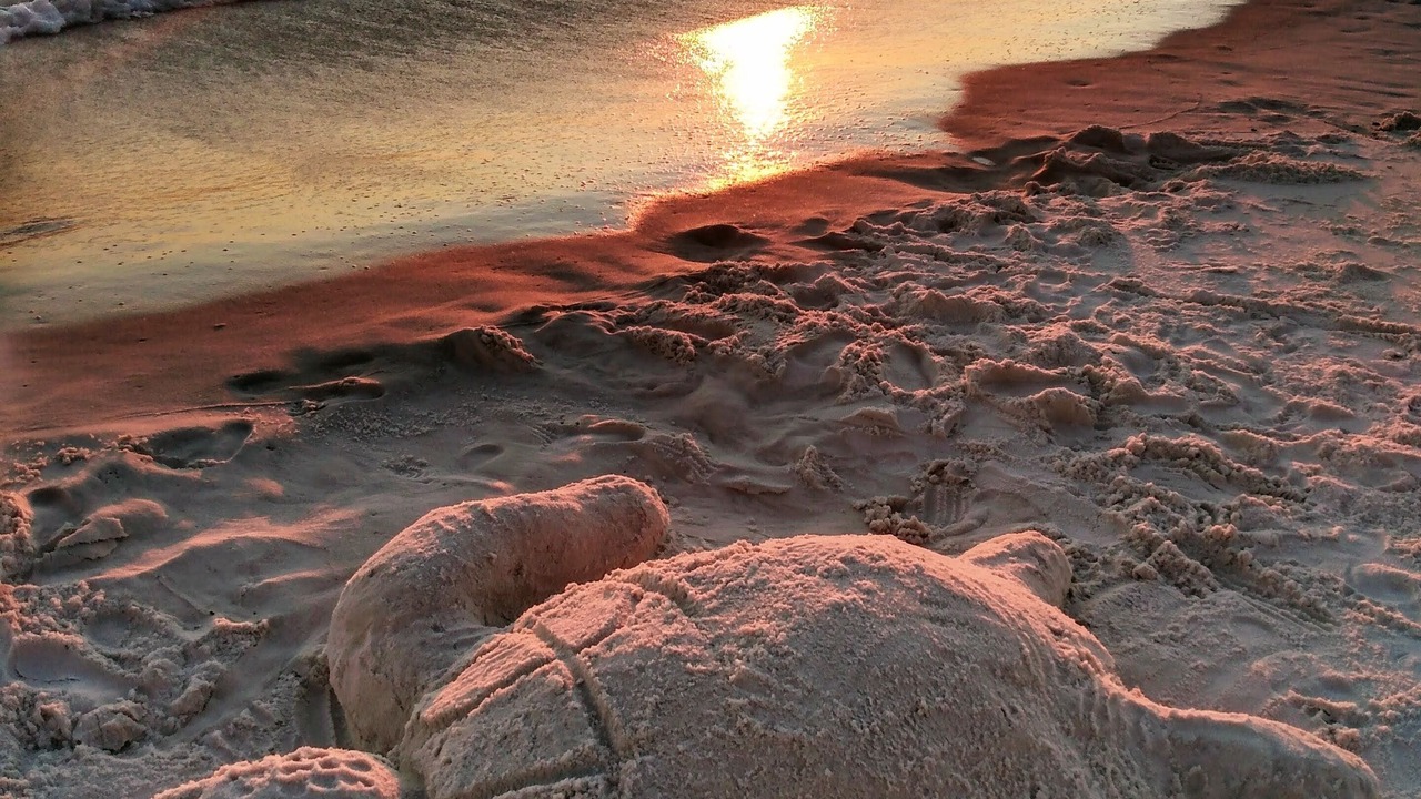Photo of Others in Seagrove Beach