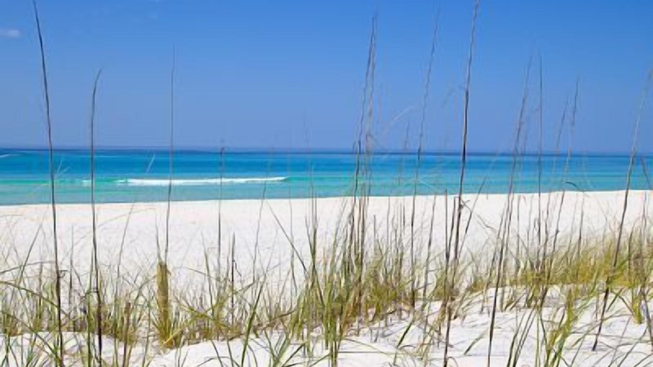 Photo of Others in Seagrove Beach