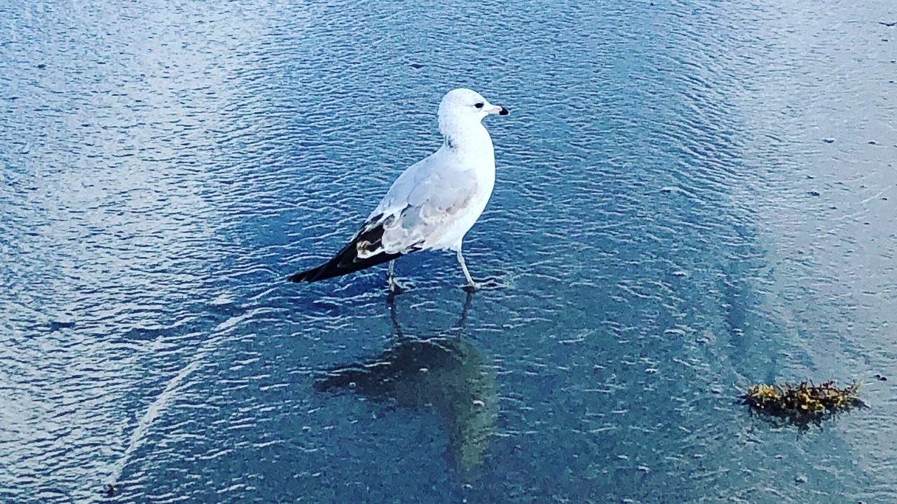 Photo of Others in Deerfield Beach