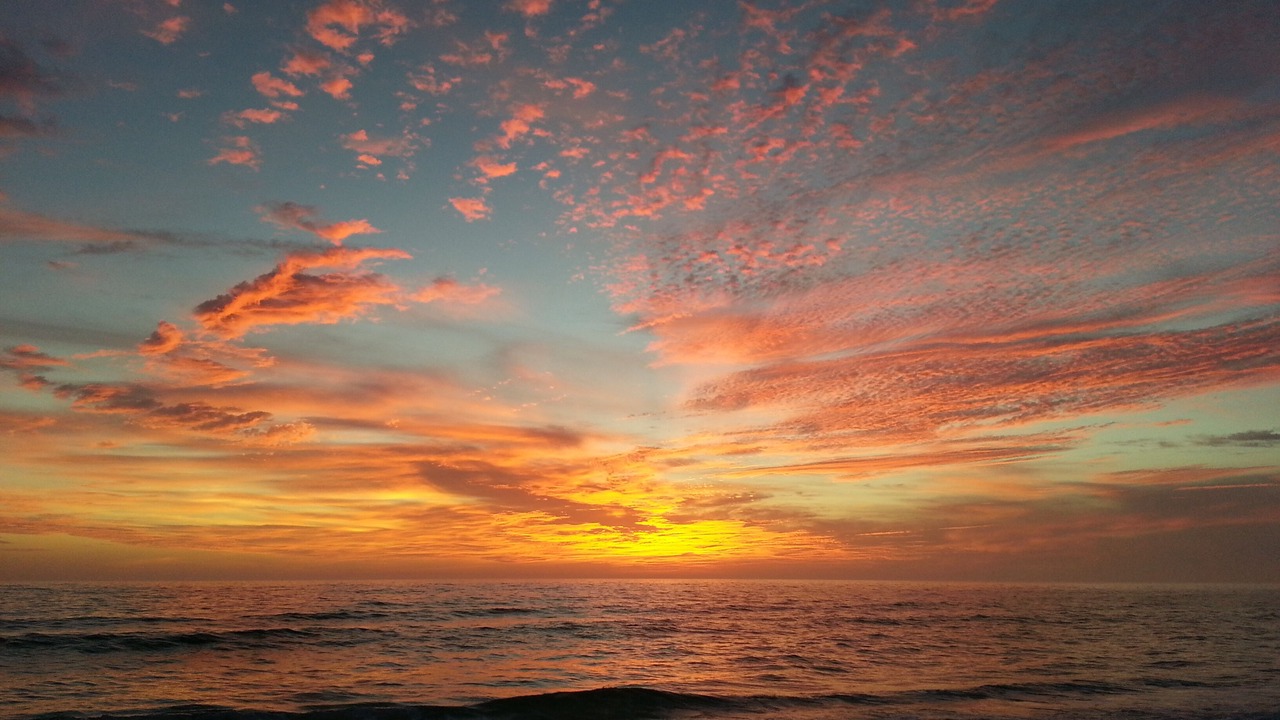 Photo of Others in Biltmore Beach