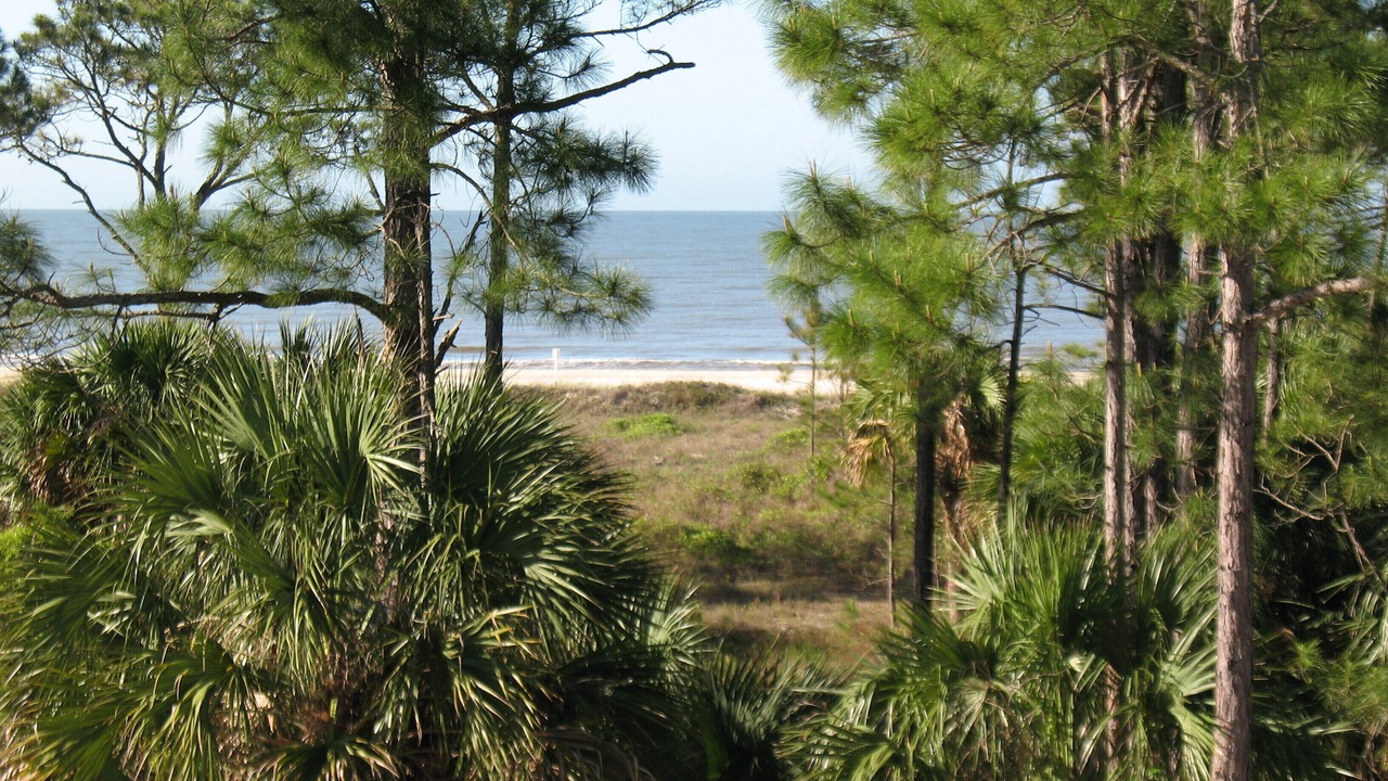 Photo of Outdoor in Port St. Joe