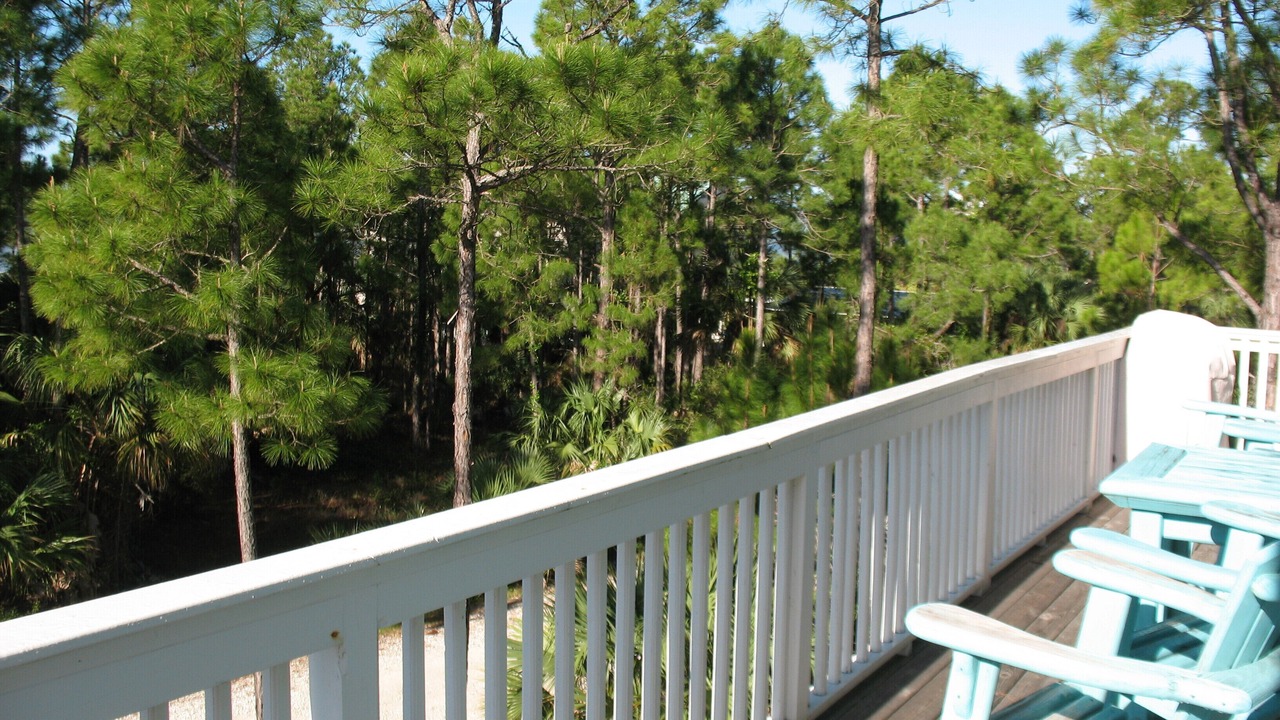 Photo of Outdoor in Port St. Joe