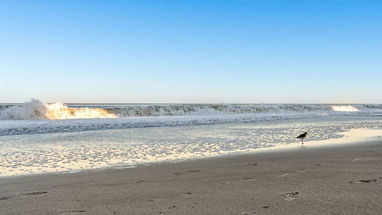 Photo of Others in Indian Harbour Beach